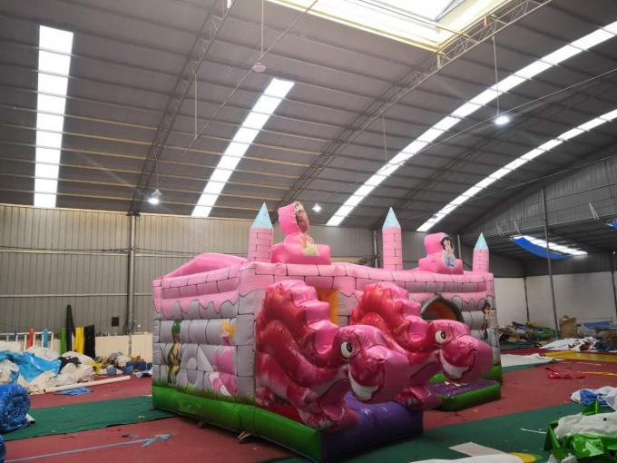 De roze Opblaasbare de Spronghuis van Draakjonge geitjes/Huizen van de Binnenplaatssprong voor Kinderen
